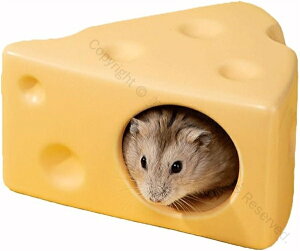 nX^[nEX 퐻 nX^[xbh ւB Ђ ėp [΍ ΍ Kxݏ `[Y` 􂦂t |֗