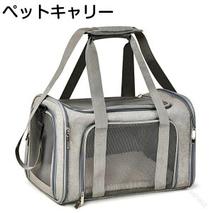ybg L[obO Lp p bN bV ʋCQ ^Lp ^p p ܂肽݉\ 񂰃V_[p @\gуobO
