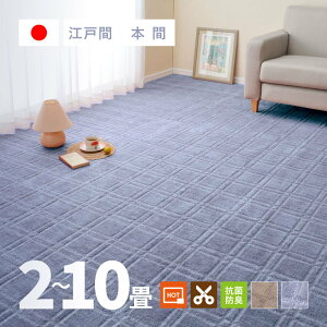 凹凸模様 カーペット 抗菌 シオン2 2畳 3畳 4.5畳 6畳 8畳 10畳 江戸間 本間帖 カットできる 格子柄 タフトカーペット 平織り 敷き詰めカーペット ラグマット おしゃれ ラグ 絨毯 高耐久性