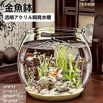 楽天市場】セール（水槽・アクアリウム｜熱帯魚・アクアリウム 
