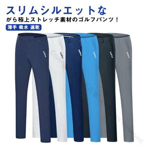 Stpc Y tėp StEFA `mp `mpc Xgb` Lk XLj[pc r Xpc Stpi Y{ X|[c JWA 傫TCY  z