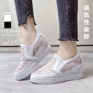 Xj[J[ fB[X bVV[Y Xb| pvX  Cq[ `[  ʋCQ JWA C  t@bV  zCg ubN yʂŉK