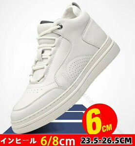 4TYPE Y Xj[J[ Cq[V[Y  [XAbv amC 6cm 8cmAbv gAbv ʋC hL y l w  JWAV[Y Y Xj[J[  JWA