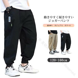 pc LbY q ǂ WK[pc 100 Rbg100 S Y{ {gX j̎q ʋCz y K bNX EGXgS JWA ʉʊw 120-160TCYΉ lC