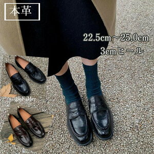 [t@[VvfUC x[VbN RۖhL [t@[ C fB[X EhgD 3cmq[ {v R L y _炩 炭 Vv ~ d d ʊw ʋ I