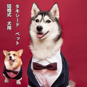  ybg ybgp  hbOEFA ^LV[h VY { lbNXt ^p  EFfBO j LOp[eB[  nXL[ R[M[ Č U o 