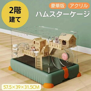 P[W nX^[ 傫  IV K 11_Zbg 񂵎 zC[  pi 珬 AN ͂ ؐ K݌v