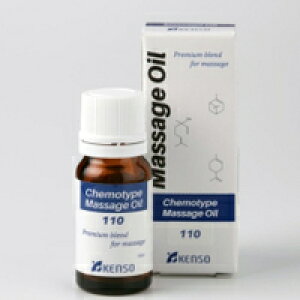 yzww }bT[WIC VsNo.110 NV[Y 10mlxyP\[ KENSO A}IC  IC }bT[Wz