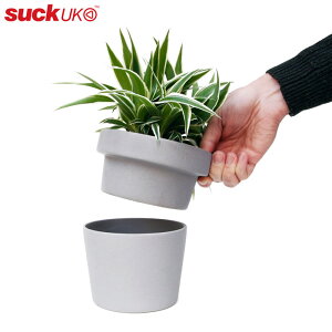 yzwvg |bg nChAEFCxyTbN[P[ suck UK Aؔ V[NbgP[X  G݁z