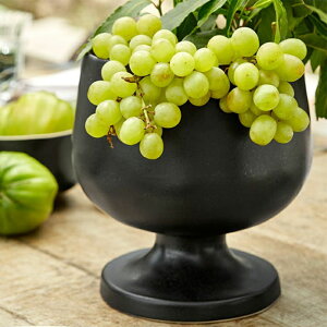 yzwRX^Emo BG tbebhT[o[ 22cm TuEm[xyCOSTA NOVA T[o[ e[uEFA nC |gK JTSz