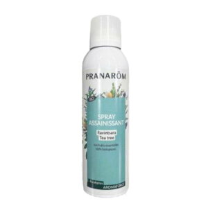 wvi A}tH[XXv[ R&T 150mliBc@&eB[gD[jxyPRANAROM w  F F [Xv[ FXv[z