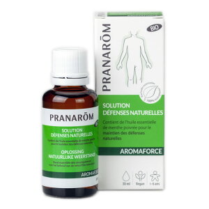 wvi A}tH[X[V 30mlxϗpyPRANAROM w  IC }bT[WIC uhICz