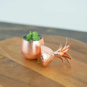 w~jpCibv VbgJbv 60mlxyVbg pCibv p[eB[  JtF o[pi Jbvz