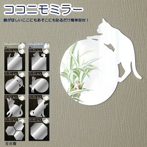 y䂤pPbgΉzwRRj~[ Coconimo MirrorxyLObY ~[  AN \鋾  gC̕ oX[ lR Ck Č CeA LObY G݁z