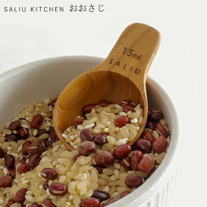 w SALIU  `[NxmLOLOnyv Xv[ ؐ `[N v Lb`c[ G TEz