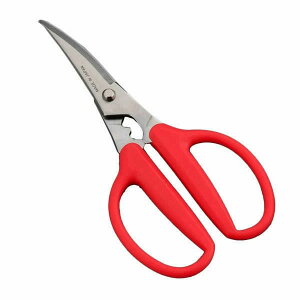 wJj`LxynT~ Jj XeX ɂ͂ ނ Gr̔ނ  Lb` G тɋ {z