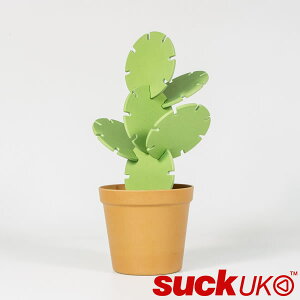 wJN^X R[X^[xyTbN[P[ suck UK R[X^[ T{e G݁z