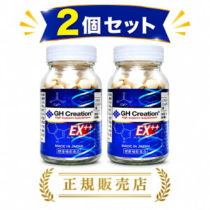 GH Creation EX++ �W�[�G�C�`�N���G�[�V���� EX�v���X�v���X ���K�̔��X 2�{ ���j���[�A����