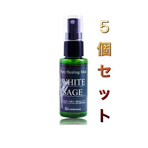 zCgZ[W  Xv[ zCgZ[W~Xg50ml 5Zbg OhbgR 򉻗p sAq[O~Xg p[Xg[ VR ZCW 򉻃ObY