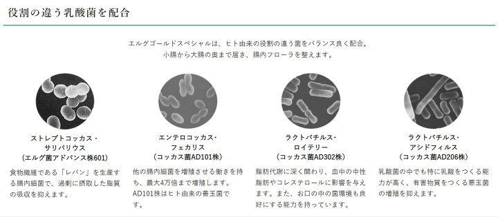 楽天市場】新 エルグゴールド スペシャル 1箱 100包入 コッカス菌増量 