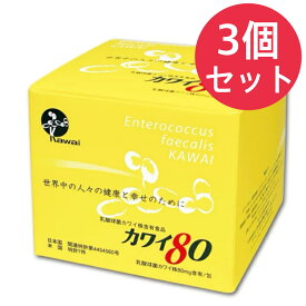 カワイ80 乳酸球菌カワイ株80mg含有食品 100包入【3個セット】