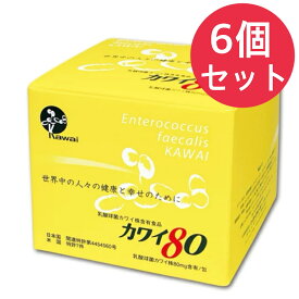 カワイ80 乳酸球菌カワイ株80mg含有食品 100包入【6個セット】
