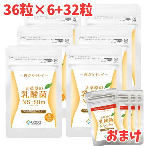 �呐���̓��_�� NS-Slim 36�� 6�܃Z�b�g �{[32�� ����]