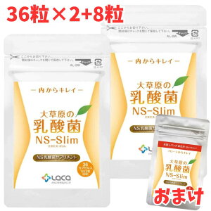 �呐���̓��_�� NS-Slim 36�� 2�܃Z�b�g �{[8�� ����]