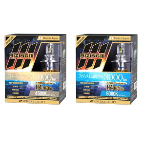 SPHERE LIGHTiXtBACgj@oCNpLEDwbhCg RIZING3 H4 Hi/Lo؂ւ@i4500KFSLRZBH4045/6000KFSLRZBH4060j