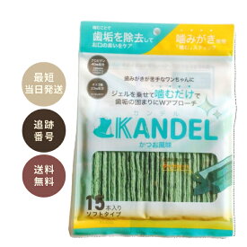 カンデル KANDEL 15本入 犬 歯磨き ガム 歯垢 デンタルケア ソフトタイプ ドクターワンデル