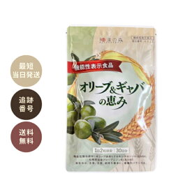 和漢の森 オリーブ&ギャバの恵み 60粒 機能性表示食品 血圧 悪玉コレステロール