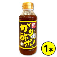 ガリ酢ポ！