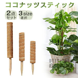 y2{zRRXeBbN 2_Zbg Xex ϗtA x |x A K[fjOp Ԃ RRibcx AT|[g 鐫A g}g |gX |p |xp[