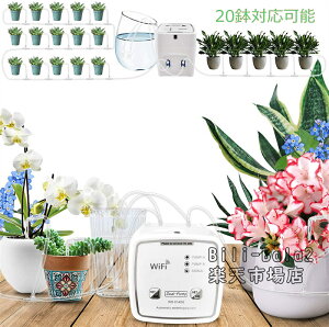  U^C}[  Wi-FiA dq [g X}zRg[ VXe^C}[u _H Up 20Ή\  ~ 뉀 ԐA ؔ(Wi-FiARg[