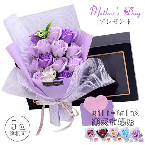 Ό̉ԁ@\[vt[ ԑMtg zCgf[ ̓  Mtgv[g  rose o @{bNX Ό \[vt[MtgB