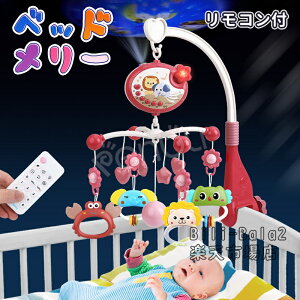 xr[p xbh[ ]KK[ y Ԃ牺 cpQ ʒ߉\ 360x] Cg oY oYj Mtg Ԃ a v[g