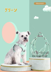 xr[W vC}bg W Ԃ Ԃ xr[Vԃ}bg vCVԃ}bg xr[ xr[W sAmvCW V  xr[vCW xr[vC}bg