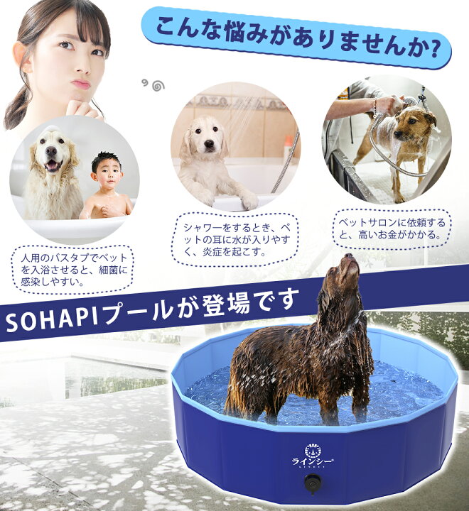 楽天市場】【P5倍+最大300円OFF】プール 大型 家庭用 100*30cm 120 