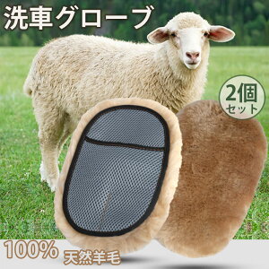 yr100gpz ԃO[u ԗp[gO[u 2Zbg ԃObY X|W ԗp{fB ԐEl̂ ԃbv 唻TCY ܃^Cv ԗpizoCNpi J