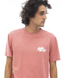 2024 ビラボン メンズ GROOVY Tシャツ 【2024年夏モデル】 全3色 S/M/L/XL BILLABONG