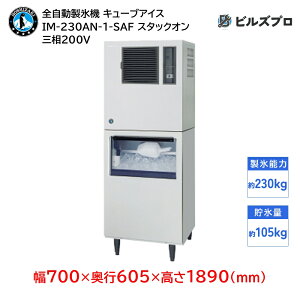 IM-230AN-1-SAF zVUL SX@ 1230kg L[uACX O200V 700×s605×1890(mm) X^bNI^Cv