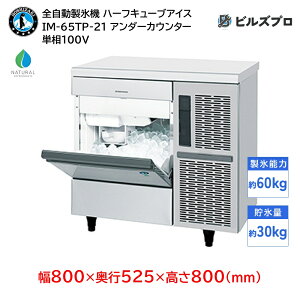 IM-65TP-21 zVUL SX@ 160kg n[tL[uACX P100V 800×s525×800(mm) A_[JE^[^Cv R}