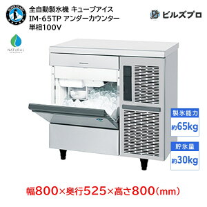 IM-65TP zVUL SX@ 165kg L[uACX P100V 800×s525×800(mm) A_[JE^[^Cv R}