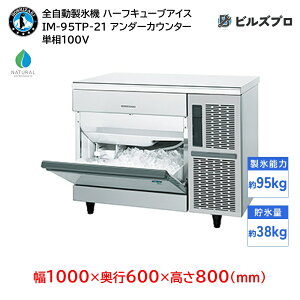 IM-95TP-21 zVUL SX@ 195kg n[tL[uACX P100V 1000×s600×800(mm) A_[JE^[^Cv R}