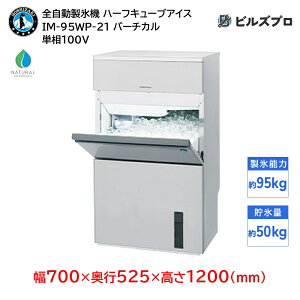 IM-95WP-21 zVUL SX@ 195kg n[tL[uACX P100V 700×s525×1200(mm) o[`J^Cv R}