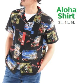 Alasko　アロハシャツ　ボタニカル　ハワイワイキキ柄 ブラック　3L,4L,5L　レーヨン　総柄　大きいサイズ