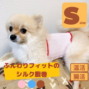 ӂtBbg̃VN STCY ^p