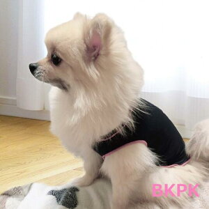 ybgEFA@hbNEFA@p@@@tā@^@N[@⊴@gCv[h@`@|jA