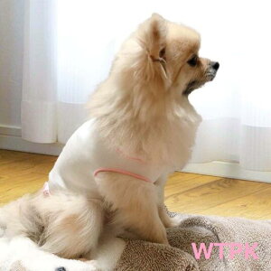 ybgEFA@hbNEFA@p@@@tā@^@N[@⊴@gCv[h@`@|jA