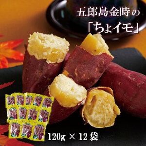 ܘÝuCv120g×12܁@ΐ쌧YnܘY ܈ ܂ Ă XC[g|eg ۂĂ |eg XC[c َq      Mtg  